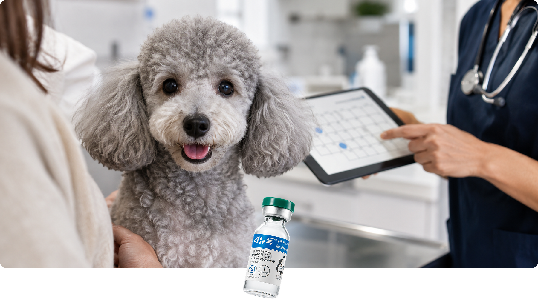 Renudog Treatment