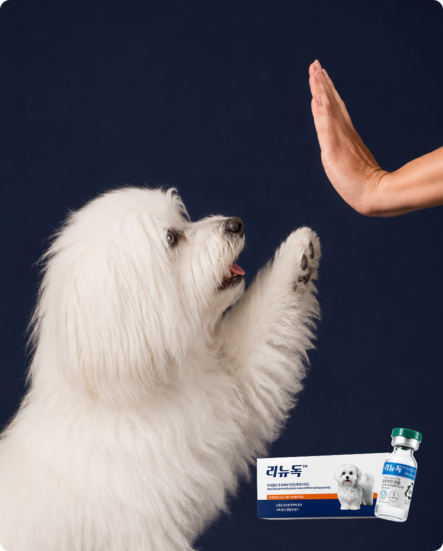 The New Pawssibility